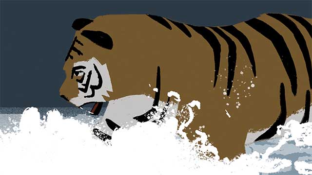 Storyboard illustration of a tiger splashing in the water.