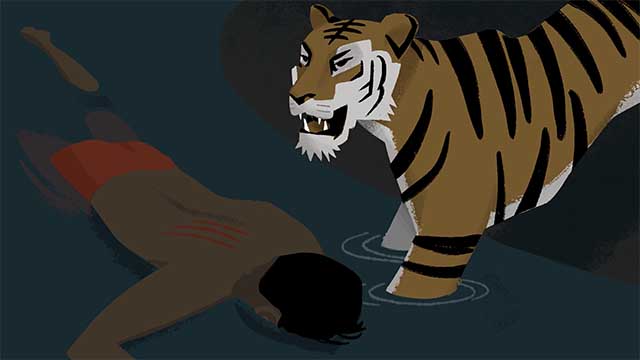 Storyboard illustration of a tiger looking up after releasing the body of a man floating in the water.