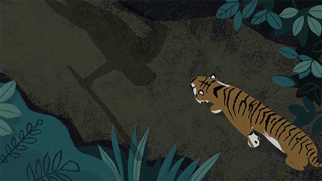 Storyboard illustration of an overhead view of a tiger backing away as the shadow of a man with a stick moves forward.