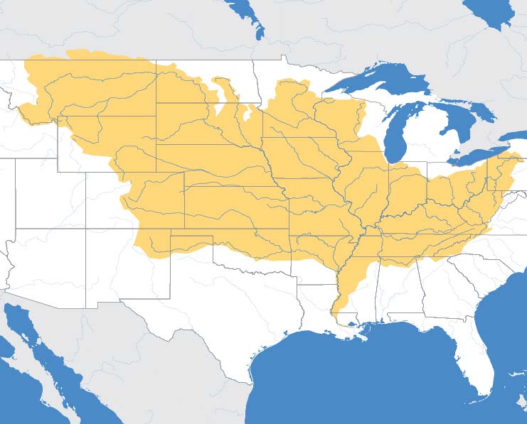 Map showing the rivers that flow into the Mississippi River and into the Gulf of Mexico.